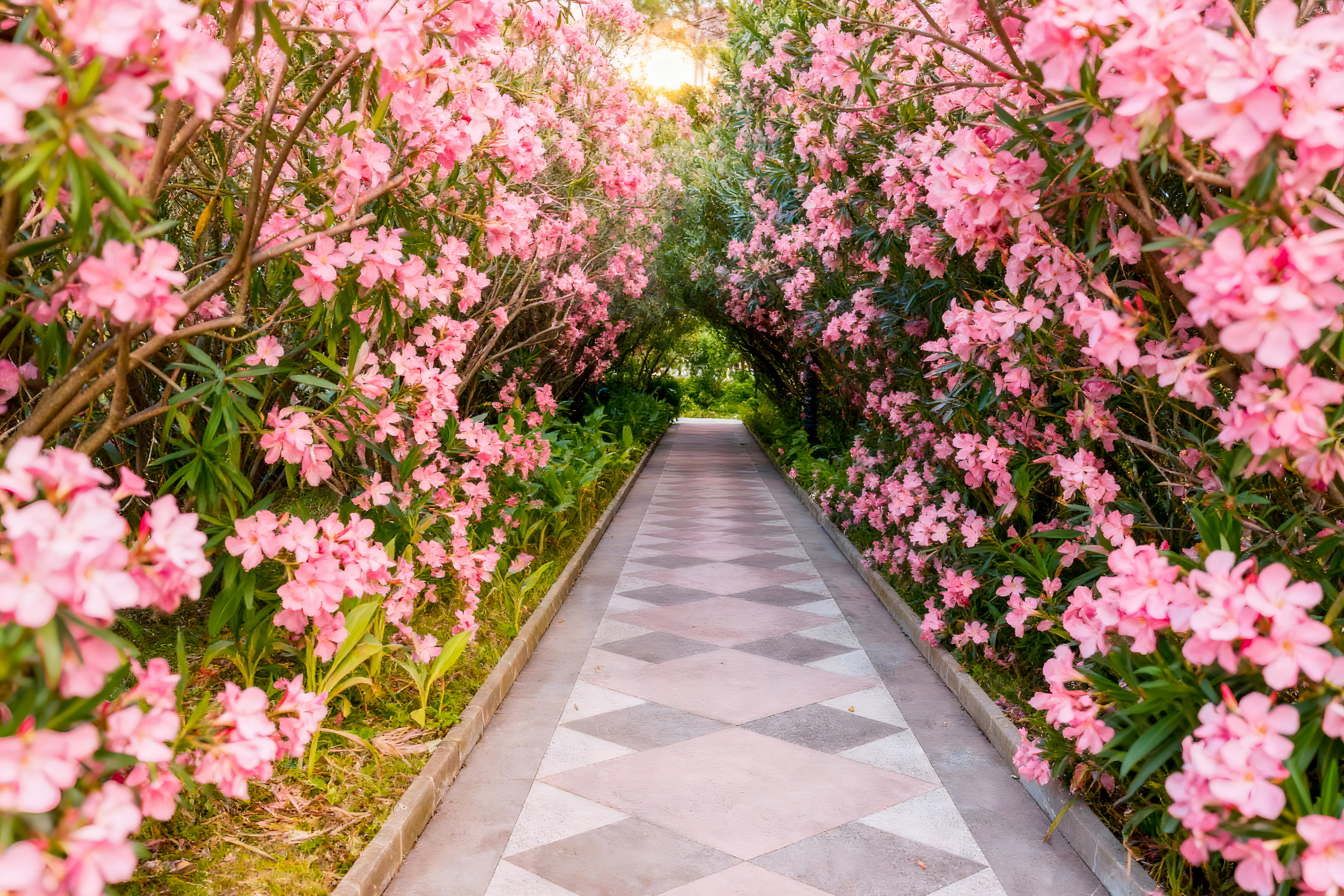 Санаторий «Южное взморье»