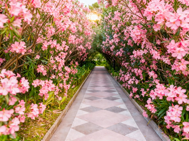 Территория санатория «Южное Взморье»