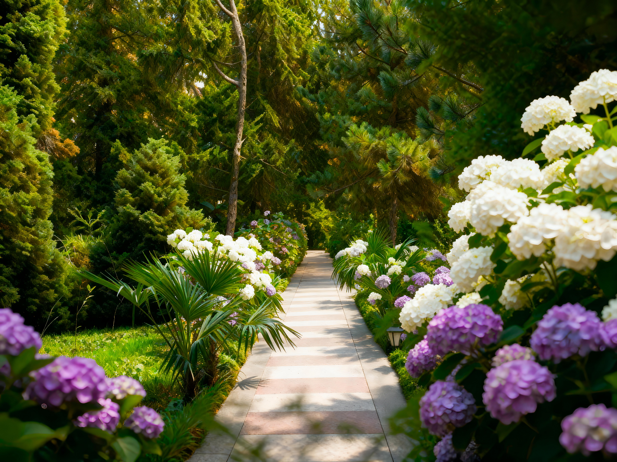 Территория санатория