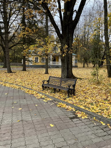 Золотая осень в санатории «Валуево»